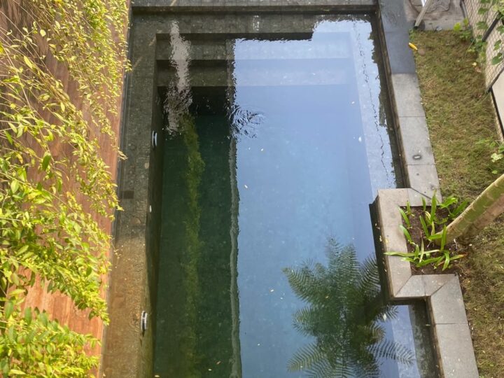 Pool garden at We Villa Cemagi